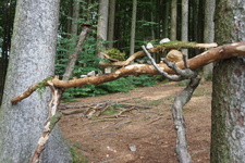 Image description