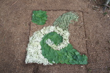 Image description
